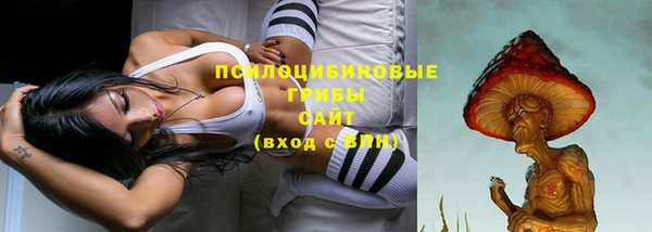 амфетамин Богданович