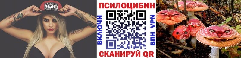 Псилоцибиновые грибы Cubensis Нестеровская