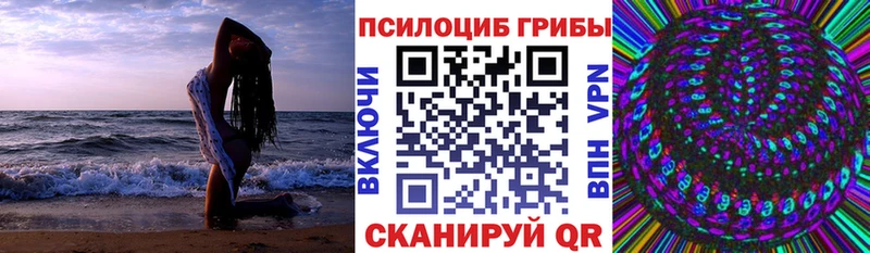 Псилоцибиновые грибы GOLDEN TEACHER  hydra   Нестеровская 